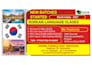 design professional posters, flyers, and advertisements